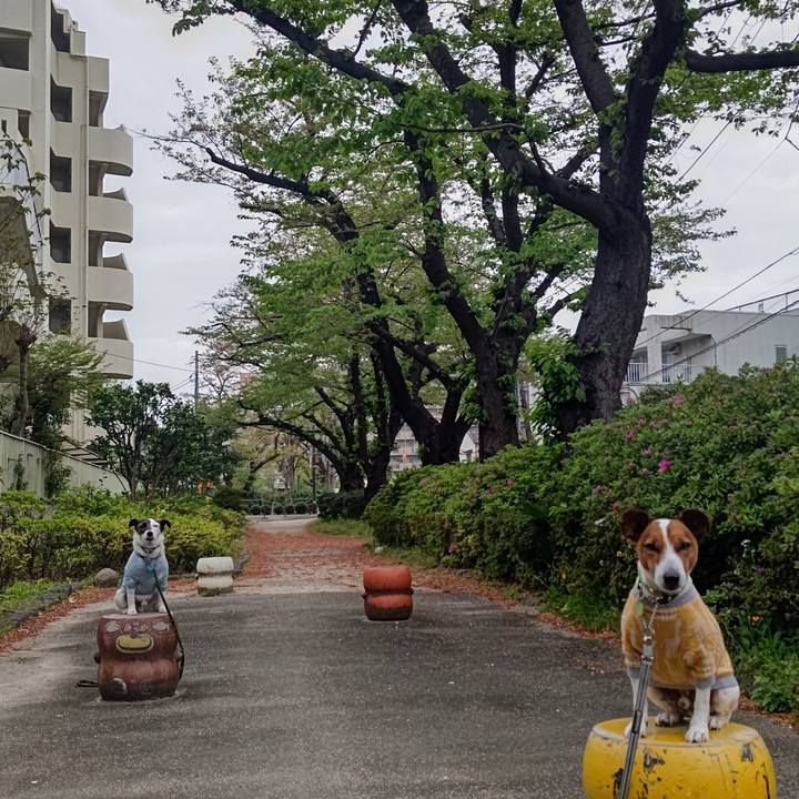 Fbd38442 3dfa 4c86 839a d74783e697ad 1680820002543