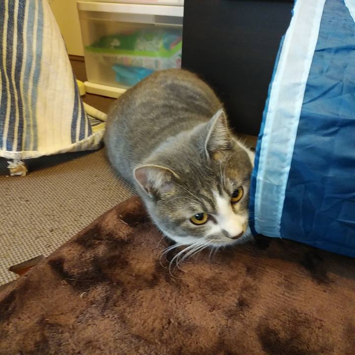 Fbd38ce6 a1b1 42a3 8bee bc8156ac802a 1576557615491