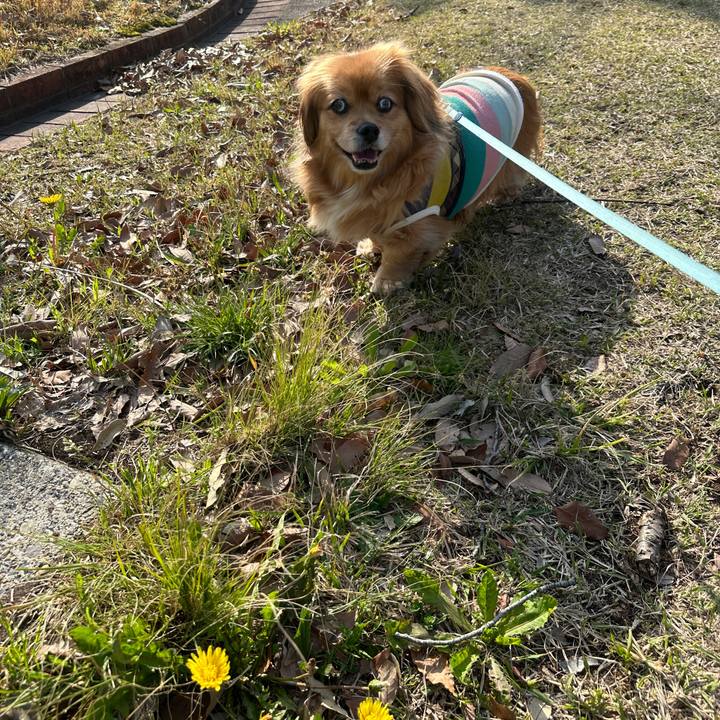 Fbd39306 c6c4 4f42 bbcf 8261454bdf5c 1711843089830