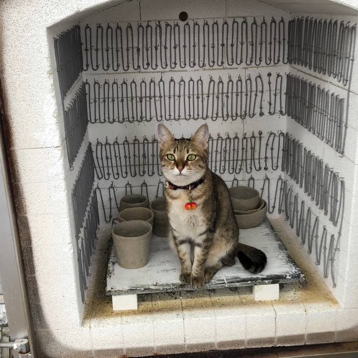 Fbd3ad2f 5821 4095 9dfd 34c12c843eee 1630719502209