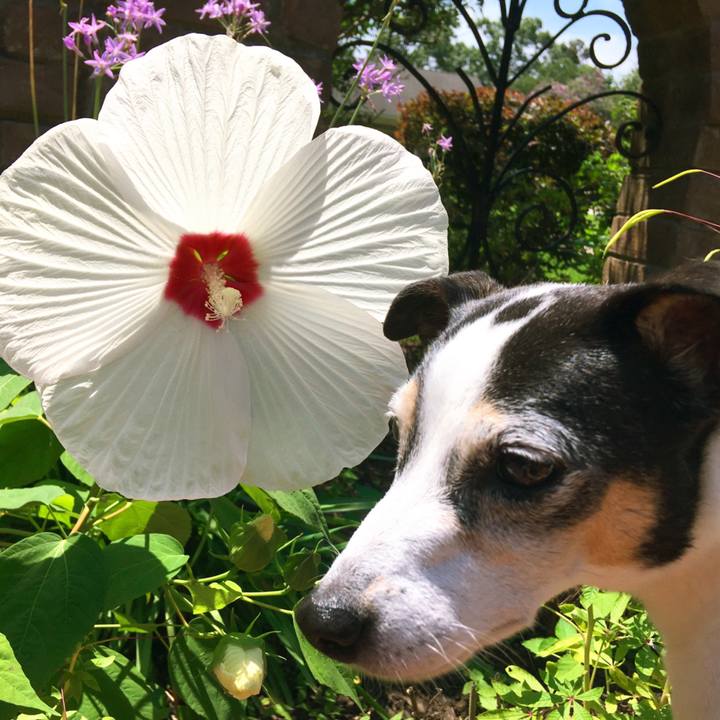 Fbd3e03e 0554 4c3d 9b9e 637ed11a7e04 1562971061865