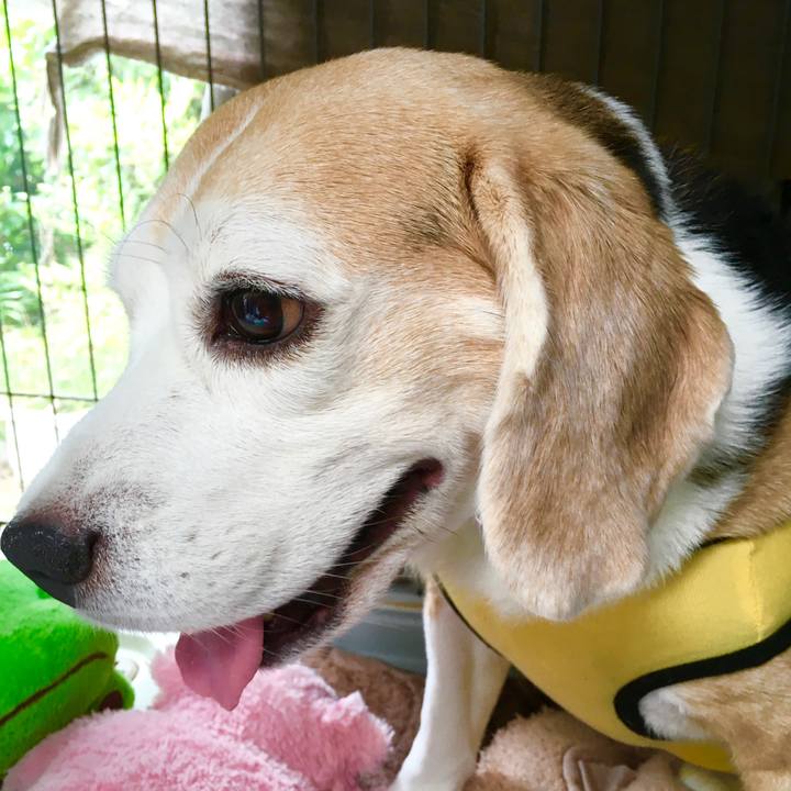 Fbd3e155 916f 48b6 b0a4 bbc9c223c830 1569296212665