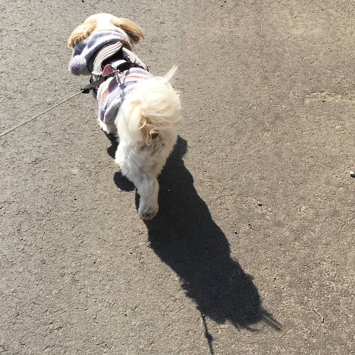 Fbd3e8ad e0b7 4d92 91c9 47248bea1425 1550921135870