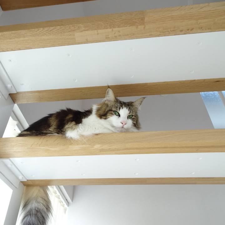 Fbd3f336 242e 4e2d a4a8 aa7ce696246d 1535689541142