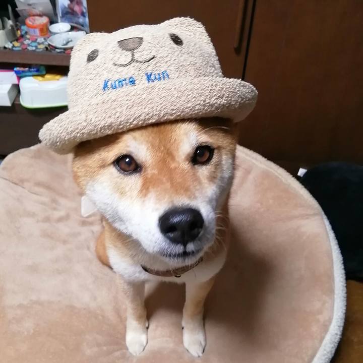 Fbd419d4 94da 4d65 9200 7ff4b1d65f49 1593424253034