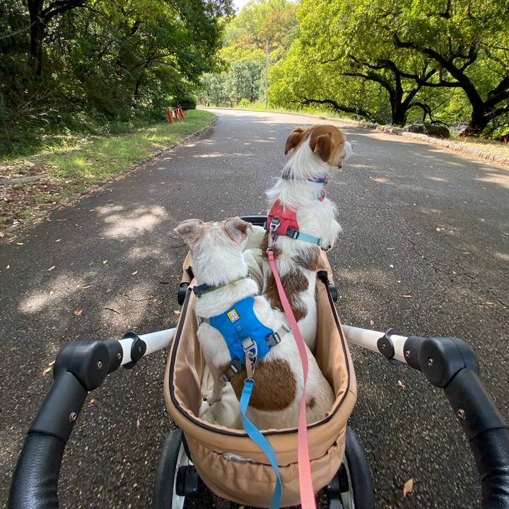 Fbd41a7c 8f71 43eb ac33 23ff92120346 1697337602509