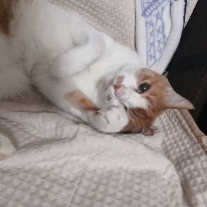 Fbd420f9 e964 46ed a068 6d3ceab67bba 1654727423474