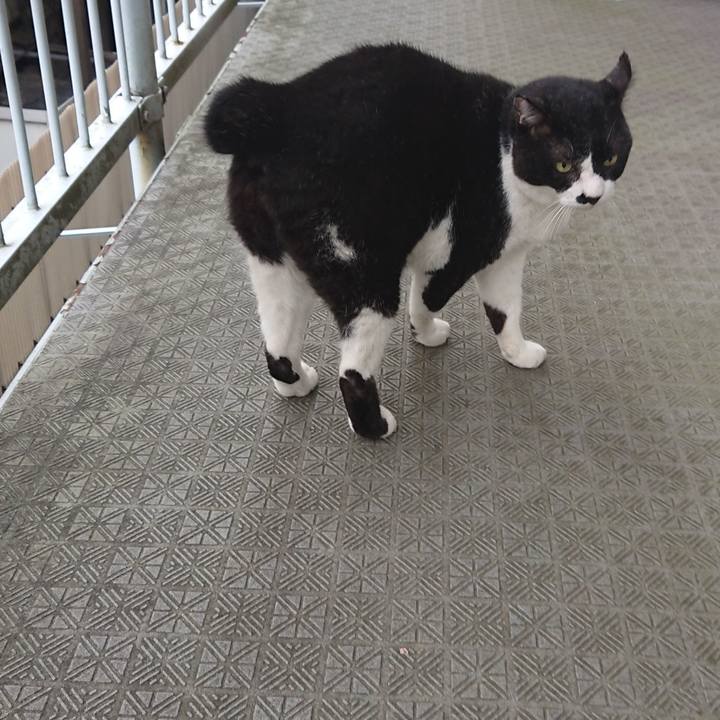 Fbd43ff7 8462 49e6 9874 f60f4343a5e2 1662074620739