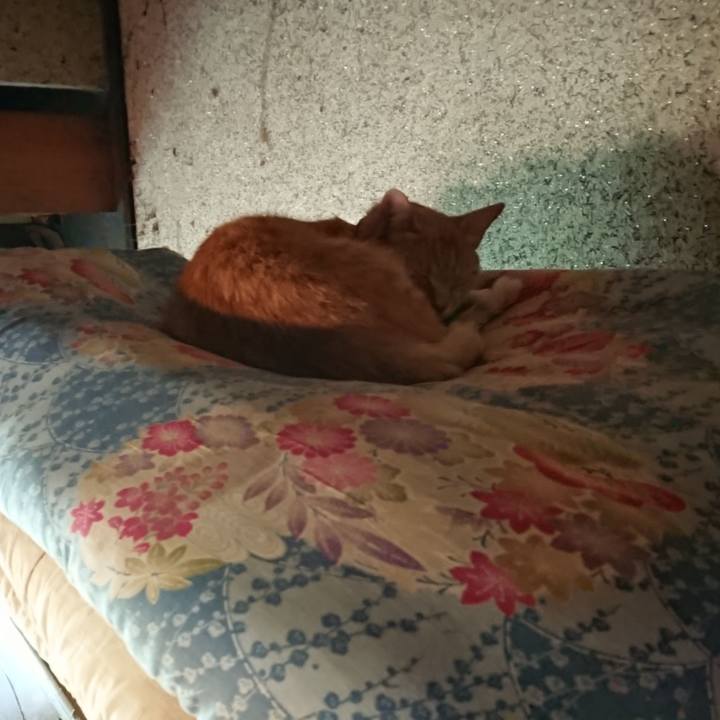 Fbd44c0f c6a0 499b 9fa6 0acbdc0d164f 1592697970296