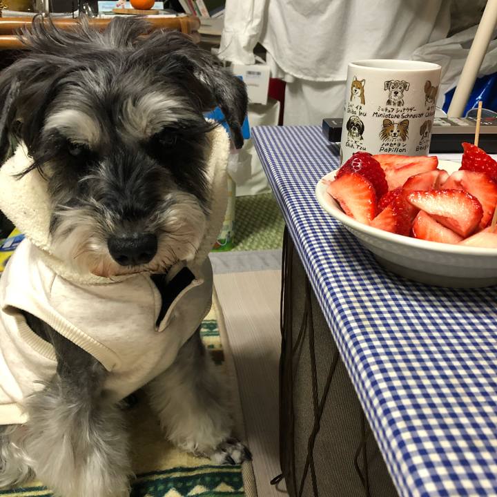 Fbd45a67 6228 4228 afee 1282eeb0f171 1646491128905