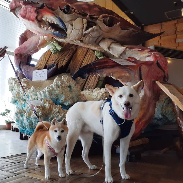 Fbd489dd 1981 401b a718 9f8c66d9146c 1685991588549