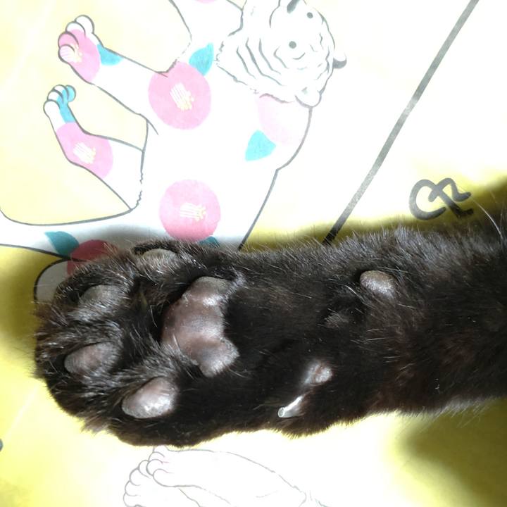 Fbd4b415 91b8 4f49 936a 416dcb68237c 1641042154908