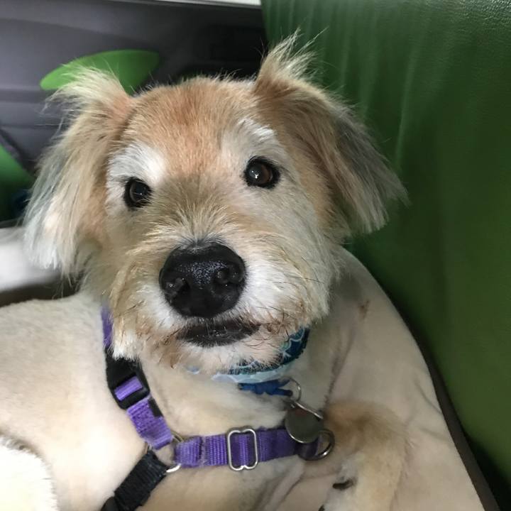 Fbd4cdcd 344b 4d44 96bf 485a92deee6d 1594774931293