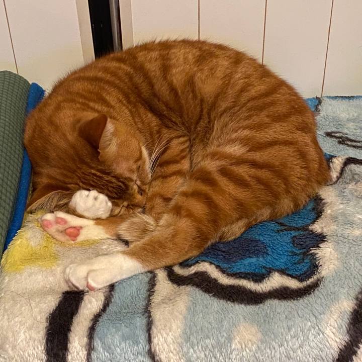 Fbd4f3f6 4fdc 46f9 bc07 c8a8d6dba6b1 1578533996547