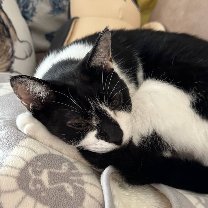 Fbd4f49e 6925 43eb 8b96 0e615b204ac8 1758333101788