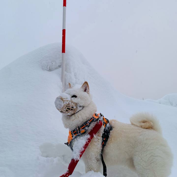 Fbd515f7 be33 4c88 9c11 faaaf2513527 1676412108535