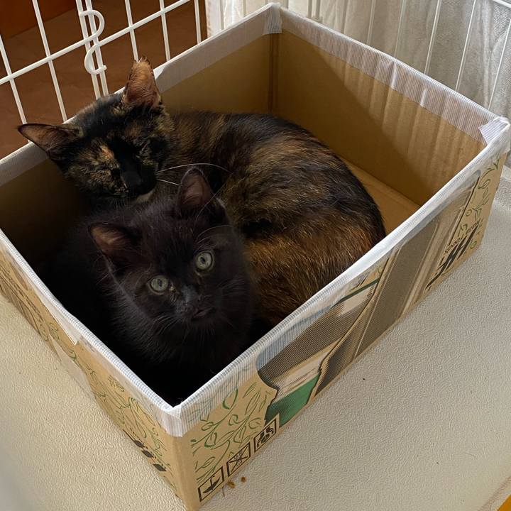 Fbd560c3 57fd 49cb 8bac 9ffc7ee5cded 1717385987705