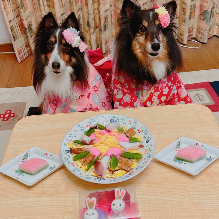 Fbd573a6 ff9a 4d25 9c46 75125c4bfd88 1677866517540