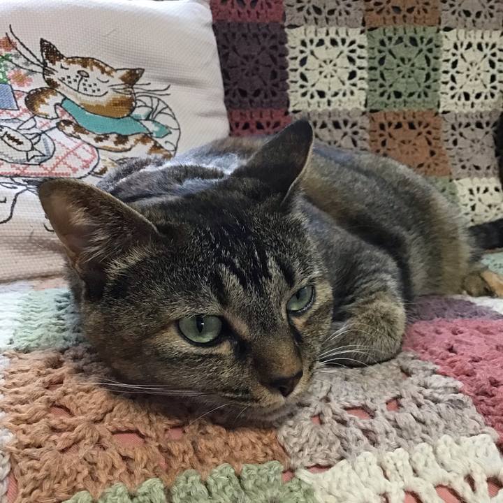 Fbd58fdc 271d 42f2 a450 2ff677d6ec34 1721446262550