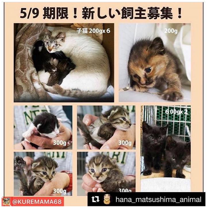 Fbd60b22 1ffc 482a 94e4 7dca3c5937cd 1557153751002