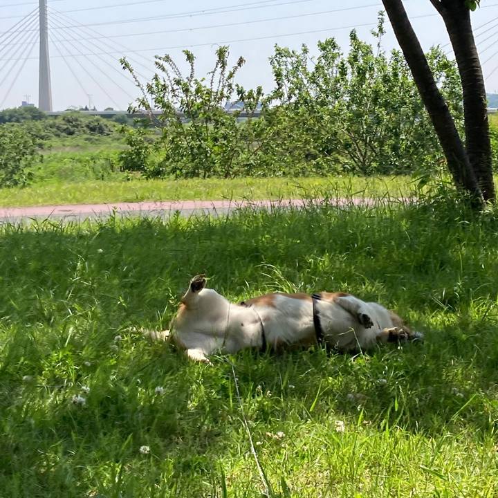 Fbd654dc 4c4c 43af 9330 a831520aec2b 1684286934436