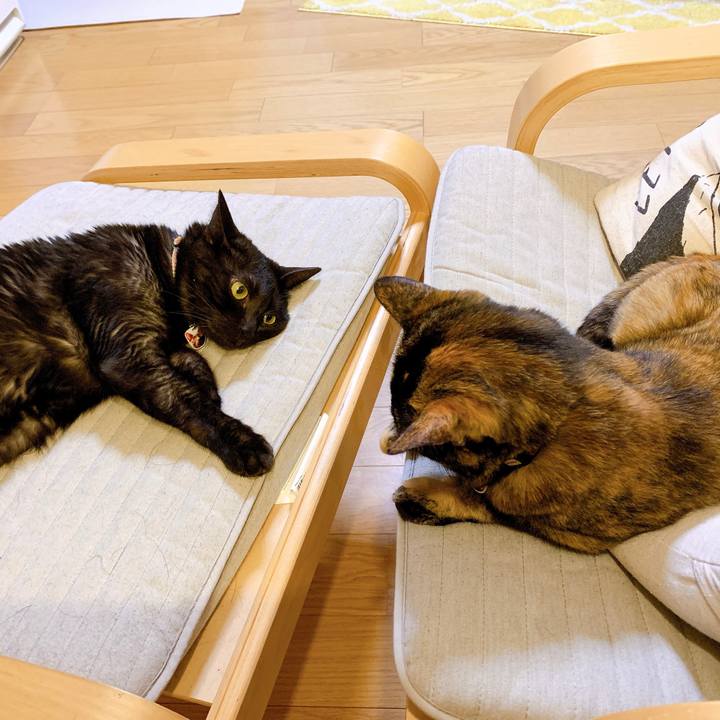 Fbd65837 f088 40e6 9255 31dc68beebd3 1564496359629