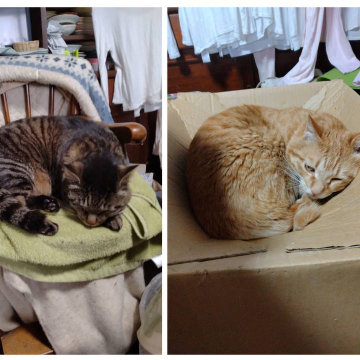 Fbd65e1a 34f9 4dc2 9b2d c10d0b43f646 1681696846933