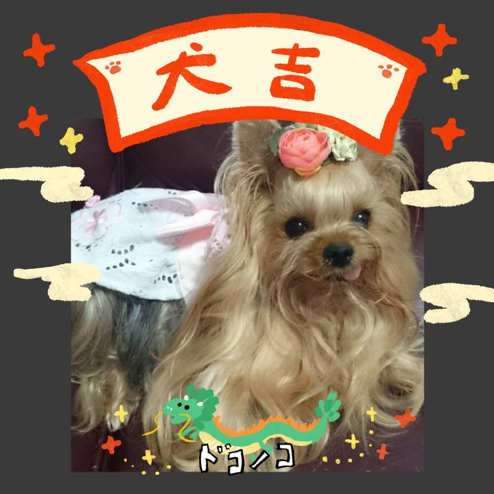 Fbd66297 4ee9 45e4 99b1 a5a03bafc4c2 1704075386618