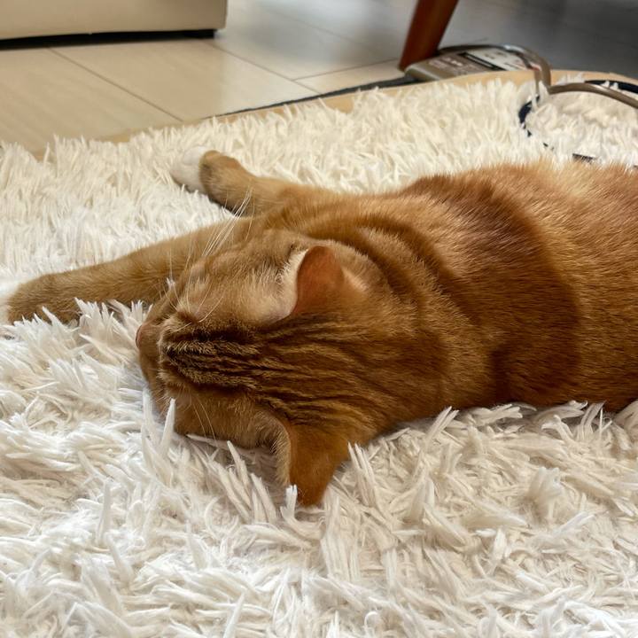 Fbd67f3b 4f4f 42ec bcee 6f6d577f24a0 1610346685451