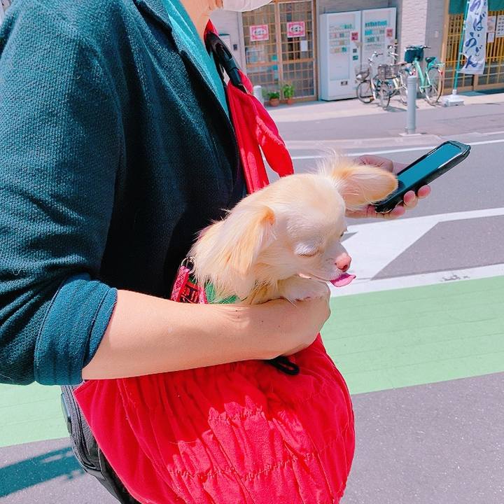 Fbd6b123 8620 49dd bbc2 4369e1728d81 1627182539897