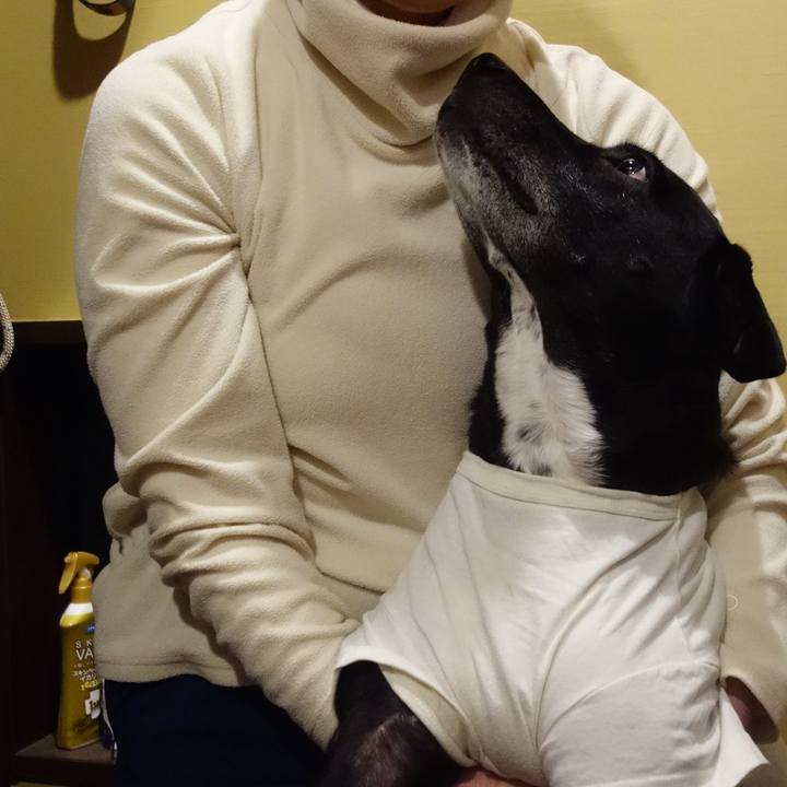 Fbd6ce10 1970 4f7d 814b c0fbec6e6235 1706526955352