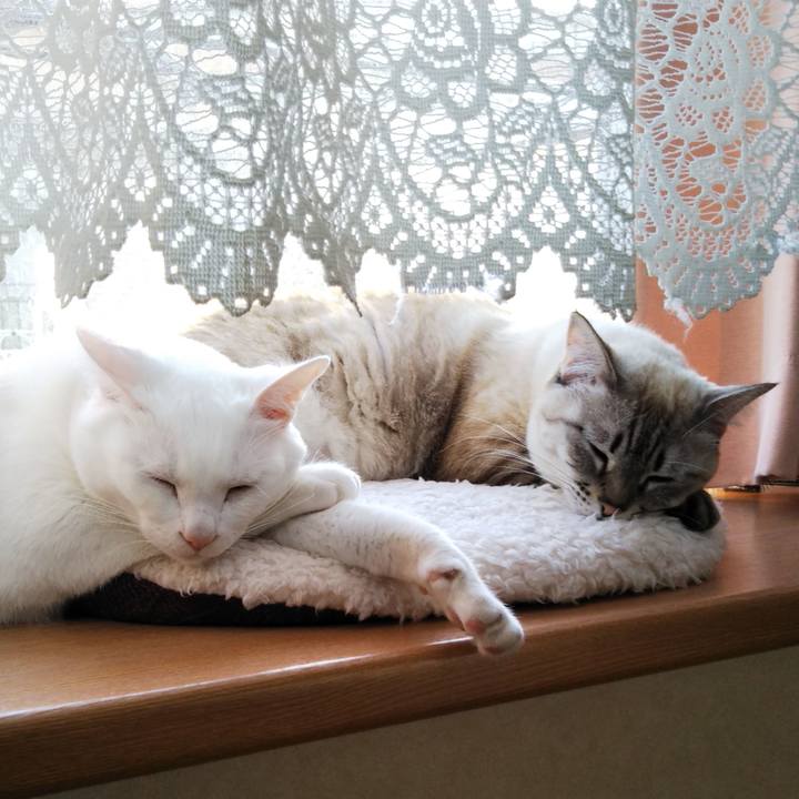 Fbd6f5d9 bfb3 4d1a 854d 310af27578d7 1547950339632