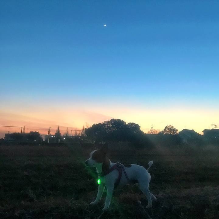 Fbd70036 3434 4a55 8555 a338674166fe 1516455012151