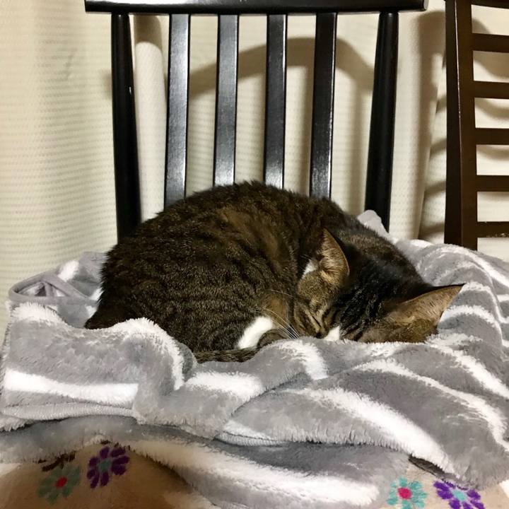 Fbd716d4 7ee3 442a 920b e7c51b66c916 1514196669529