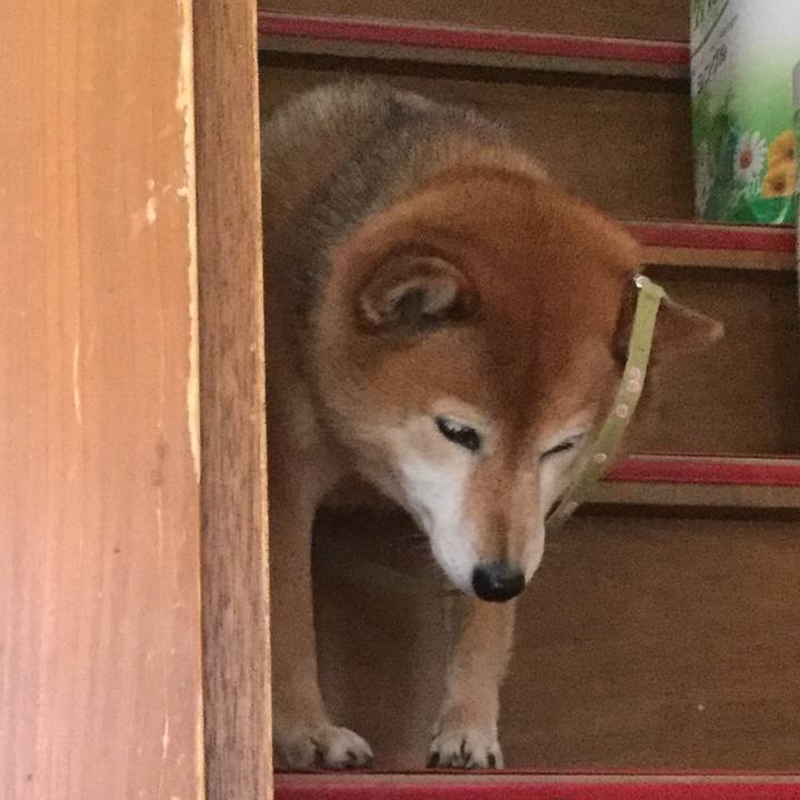 Fbd7383c 9d39 41d7 a8cf c13a011d47ea 1586853123638