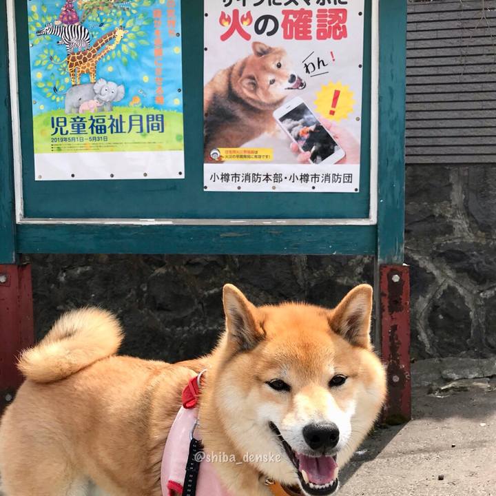 Fbd748dd e96c 415f 86a0 229c76c112dc 1556176292636