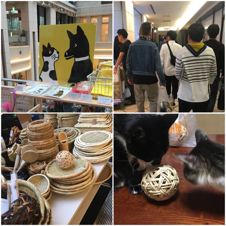 Fbd7b862 0d9e 4708 a110 95fb9fd9e278 1528724034825