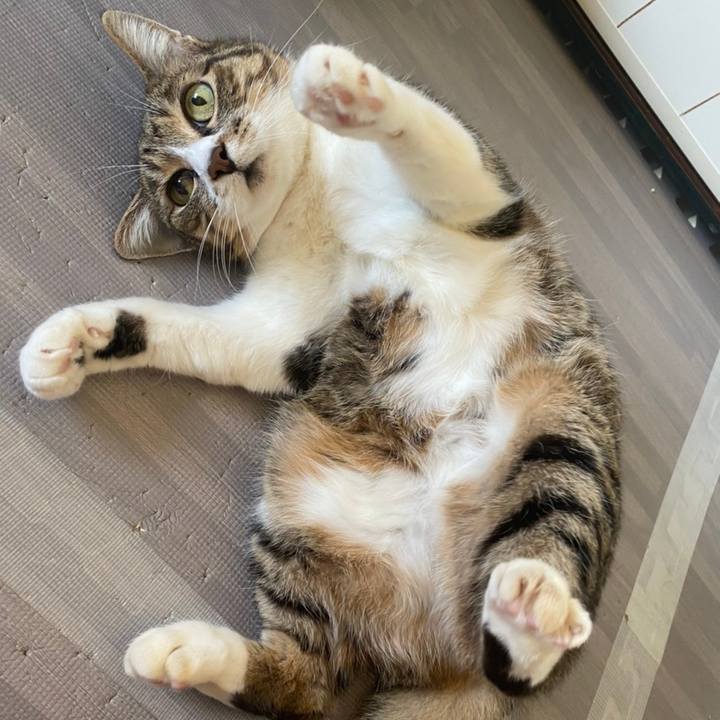 Fbd7c0dd ed0a 4882 9495 fa50a627e852 1619762821902