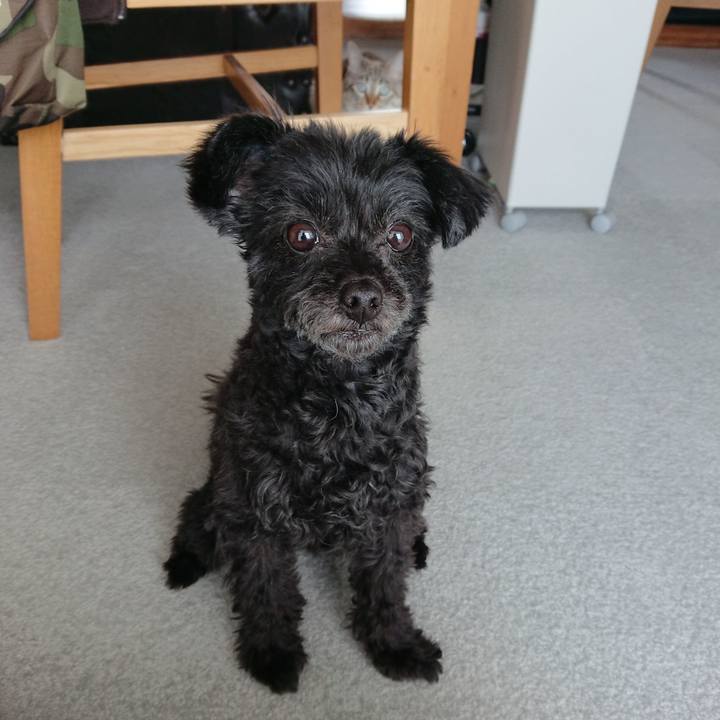 Fbd82b9a 0524 4dba b392 034e4e94b14f 1520054719774