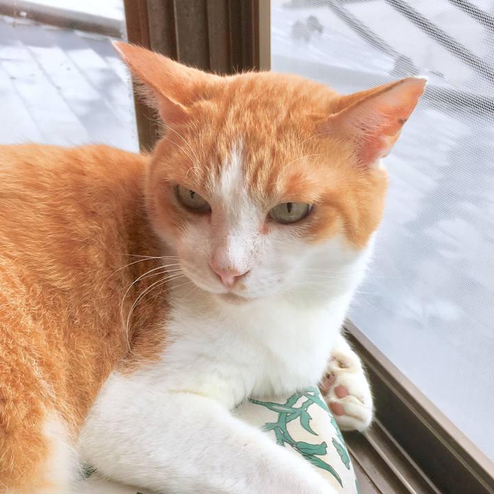 Fbd83d4e 56fd 4906 9dea 42c63bb350ba 1564902360409