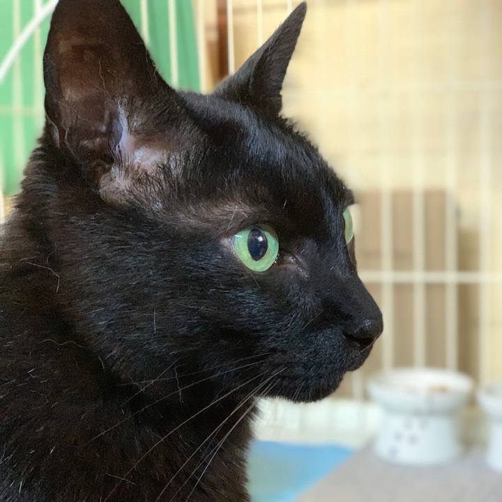 Fbd855f2 40be 4376 83a4 82ade2c92998 1593130269854