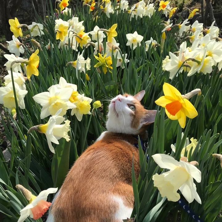 Fbd87bfb 736f 4e90 bbe7 37fc78821fa2 1523497170051