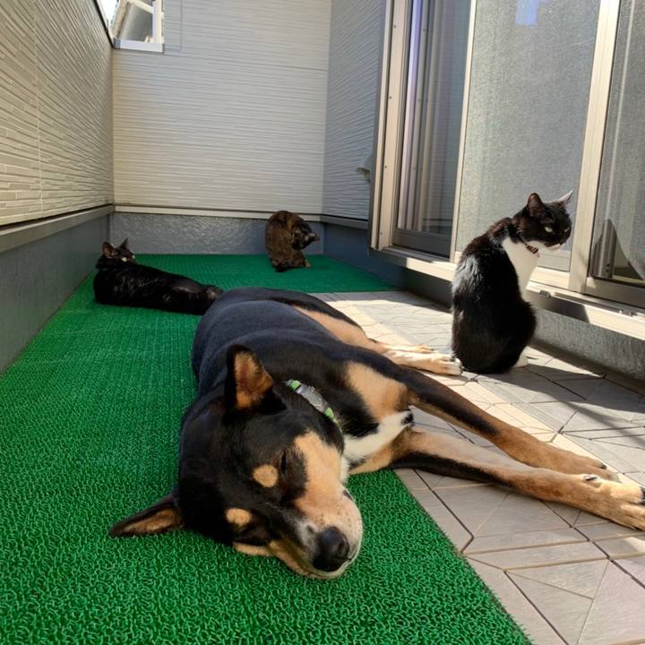 Fbd88494 138f 4885 a7de b4426add341d 1636333250147