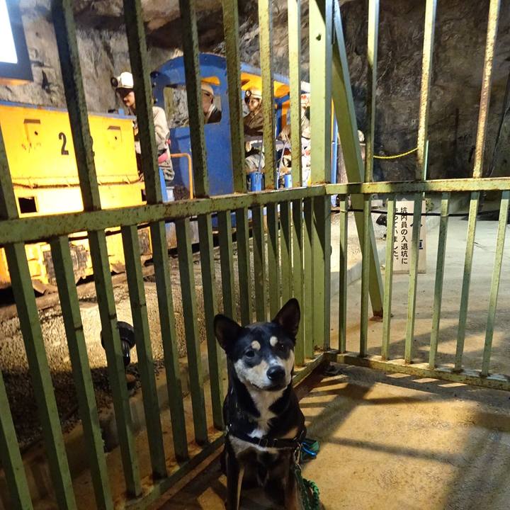 Fbd89d40 a084 480c 8f5c 4f6fd5c4f6df 1556719424636