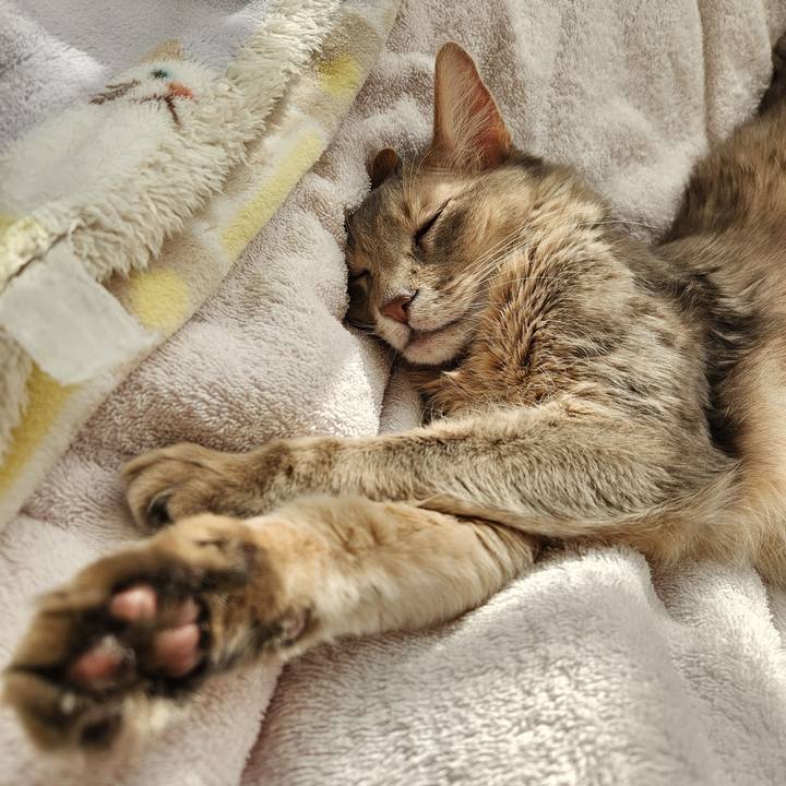 Fbd8aef1 42cb 486b 9bed f792d93f2d14 1739600485693