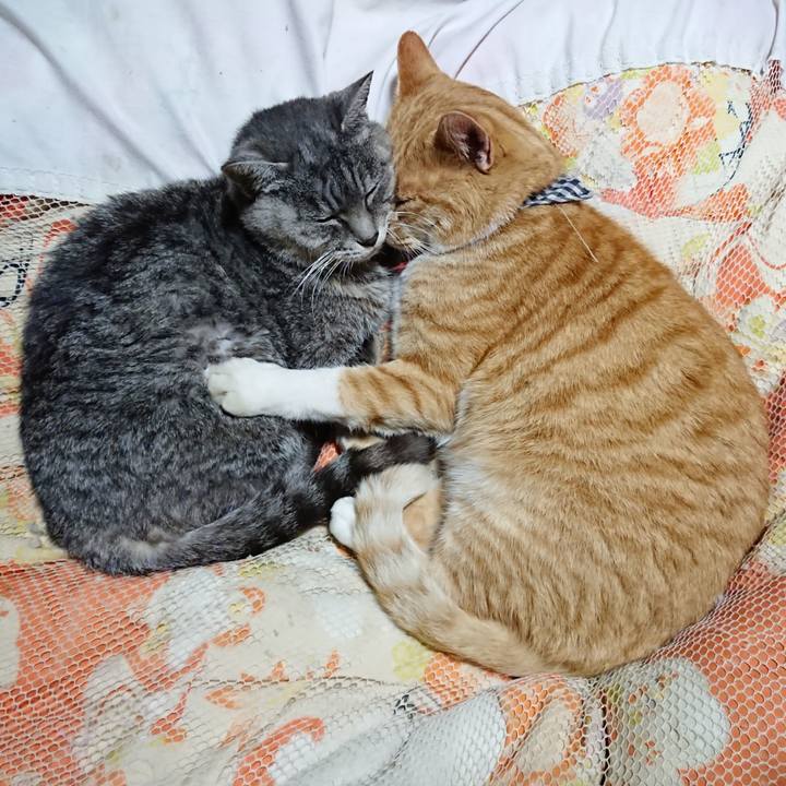 Fbd8f0e2 0d64 4f89 aba8 d5fdec38910d 1573998256178