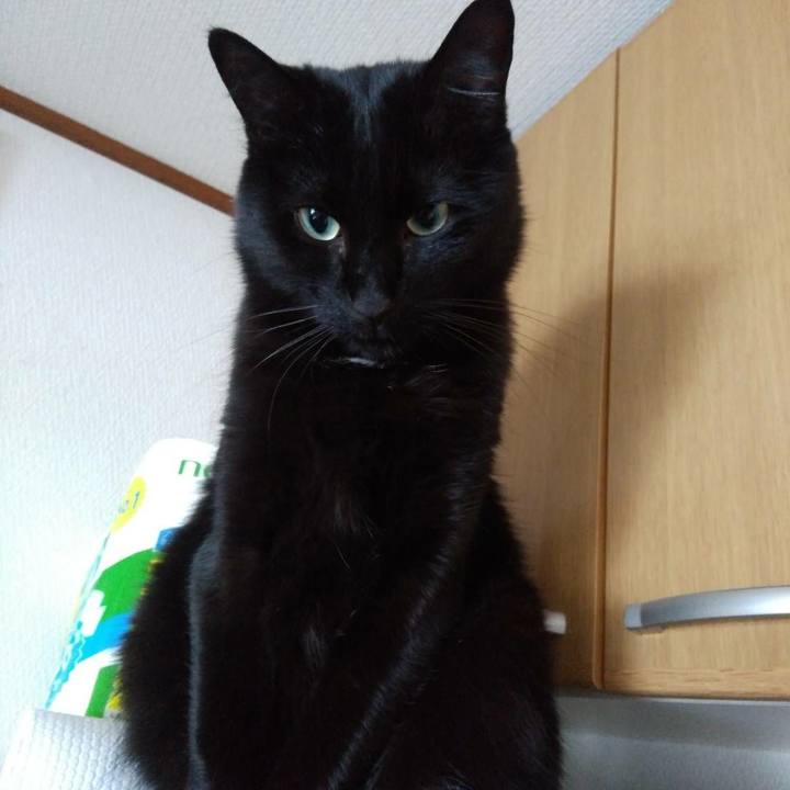 Fbd909a7 8e84 4b57 a66c 27b2012fbae6 1612272460212