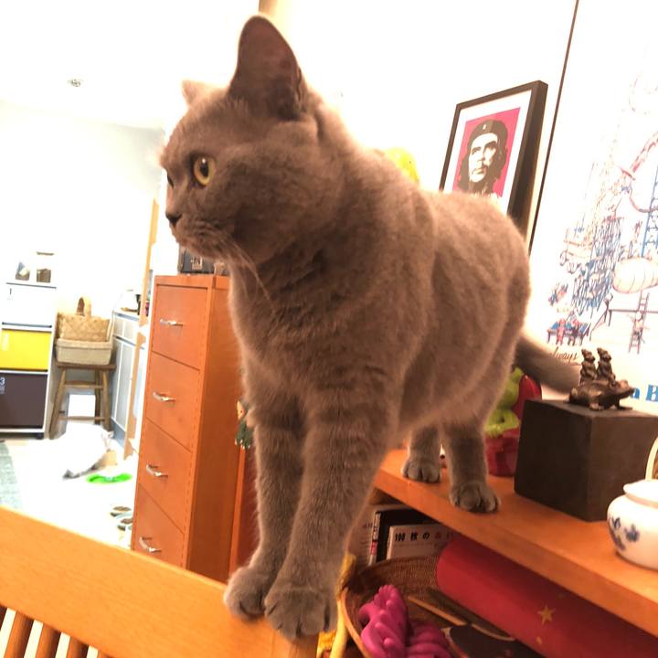 Fbd91f2d d3e1 4350 a8de a778625662a6 1537577204129