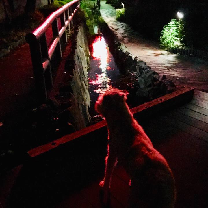 Fbd9a085 3508 41cf a9db 3d0efadd185f 1599804280964