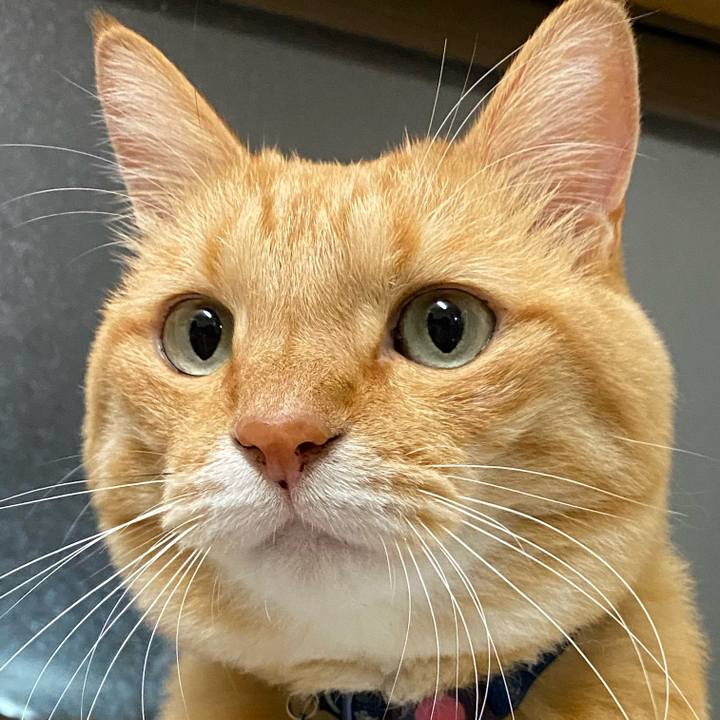 Fbd9bbfd 6359 436d 8276 1b535cfdc59a 1599869767998